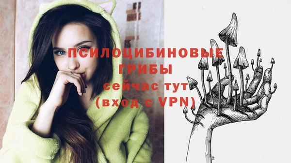 соль курить ск Белокуриха
